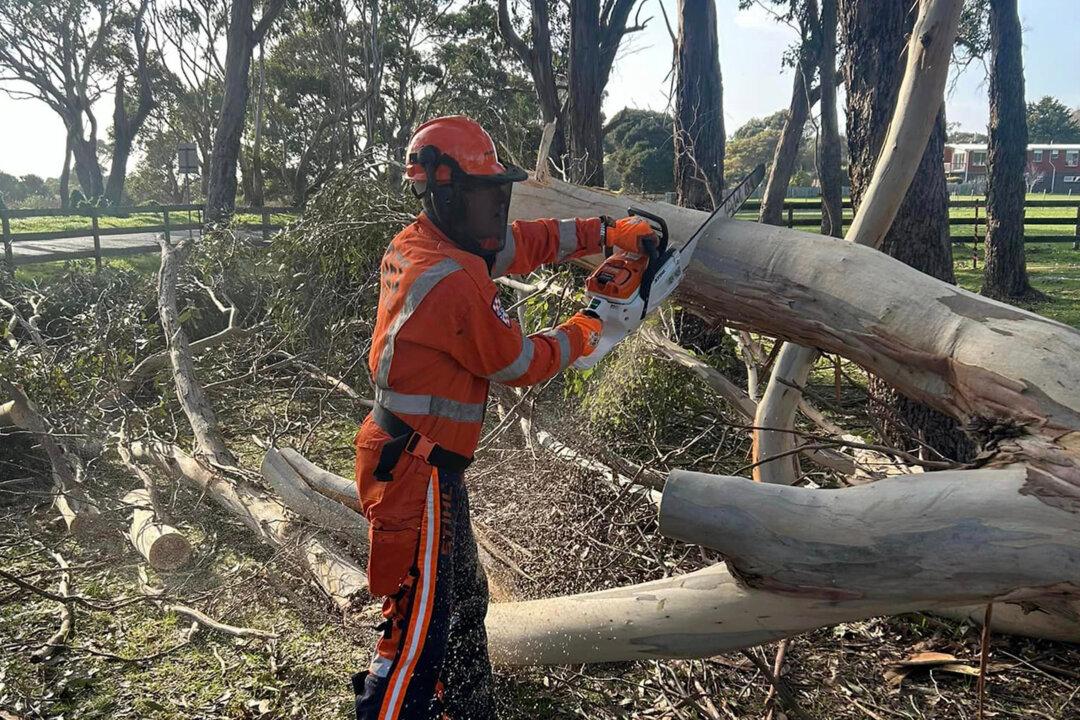 Emergency Crews Make Most of Brief Reprieve in Wild Weather